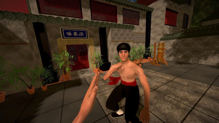 Dragon Fist: VR Kung Fu