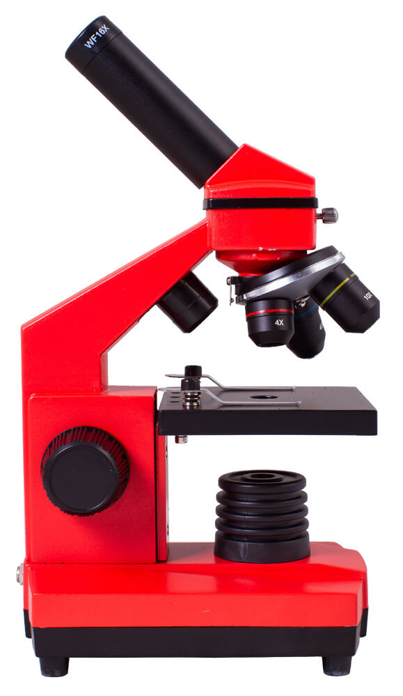 Mikroskop Levenhuk Rainbow 2L PLUS Pomaranč